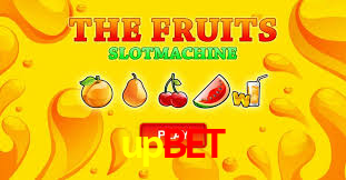 Sports Statistics upbet